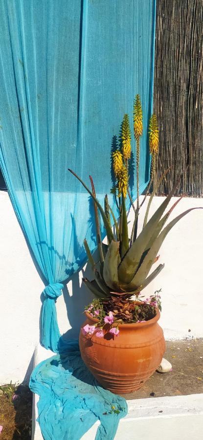 Amaryllis Sweet Home Pírgos المظهر الخارجي الصورة
