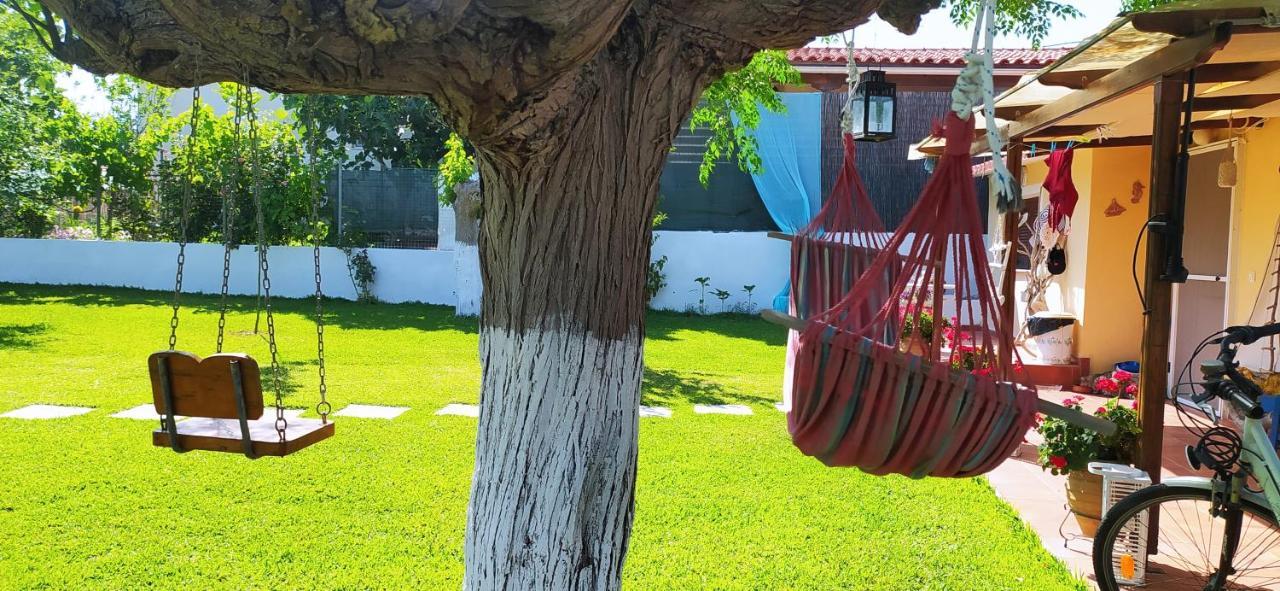 Amaryllis Sweet Home Pírgos المظهر الخارجي الصورة