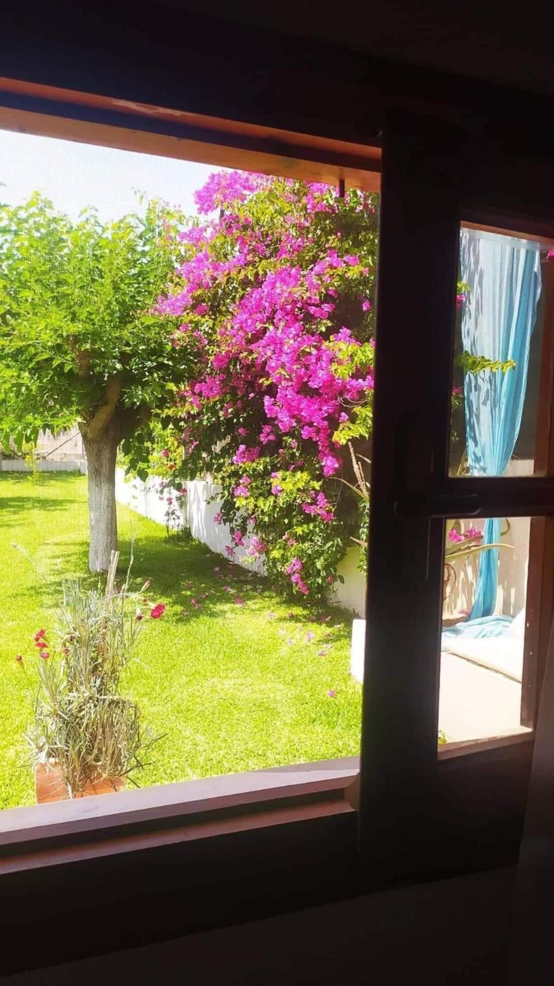 Amaryllis Sweet Home Pírgos المظهر الخارجي الصورة