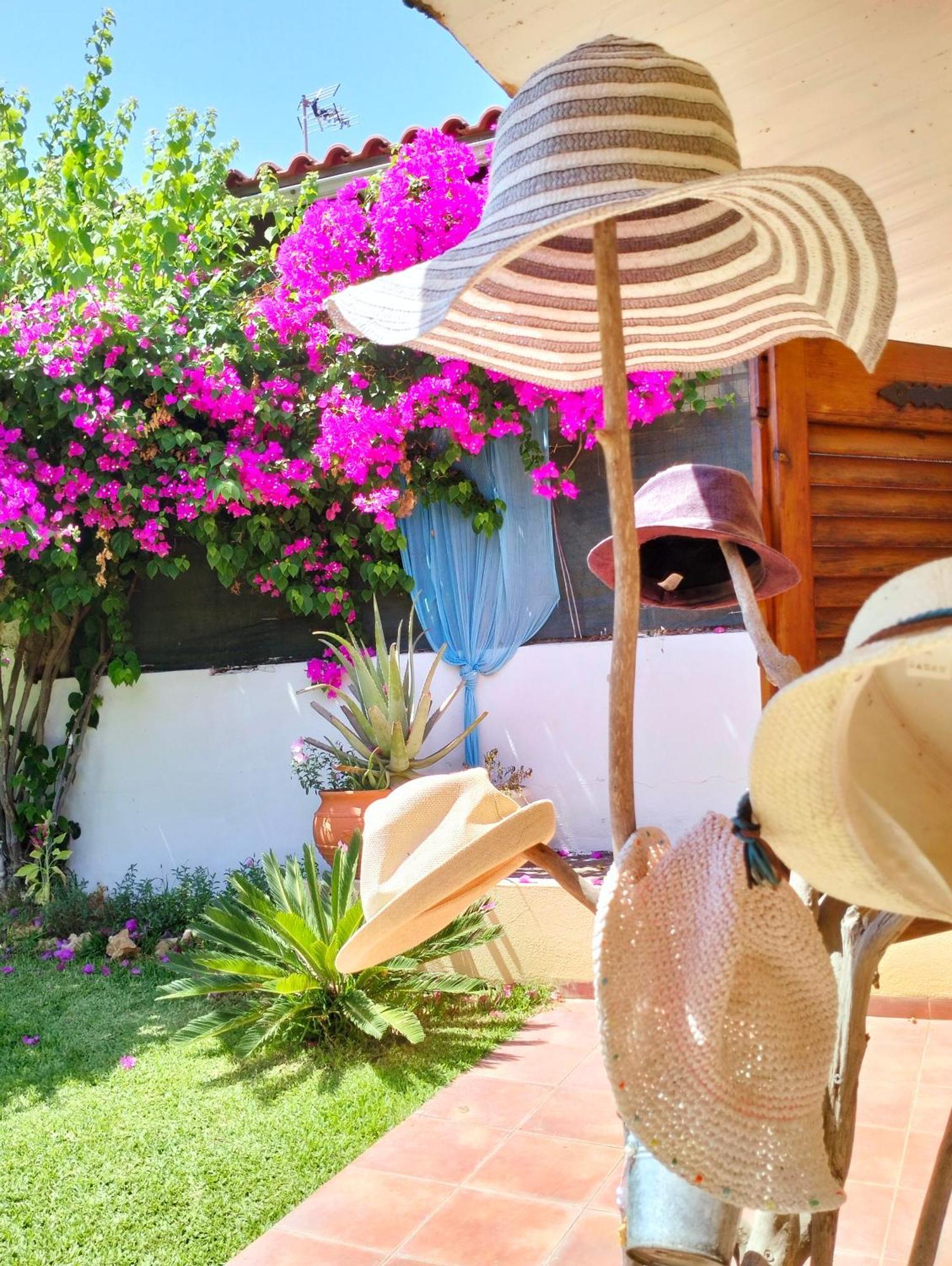 Amaryllis Sweet Home Pírgos المظهر الخارجي الصورة